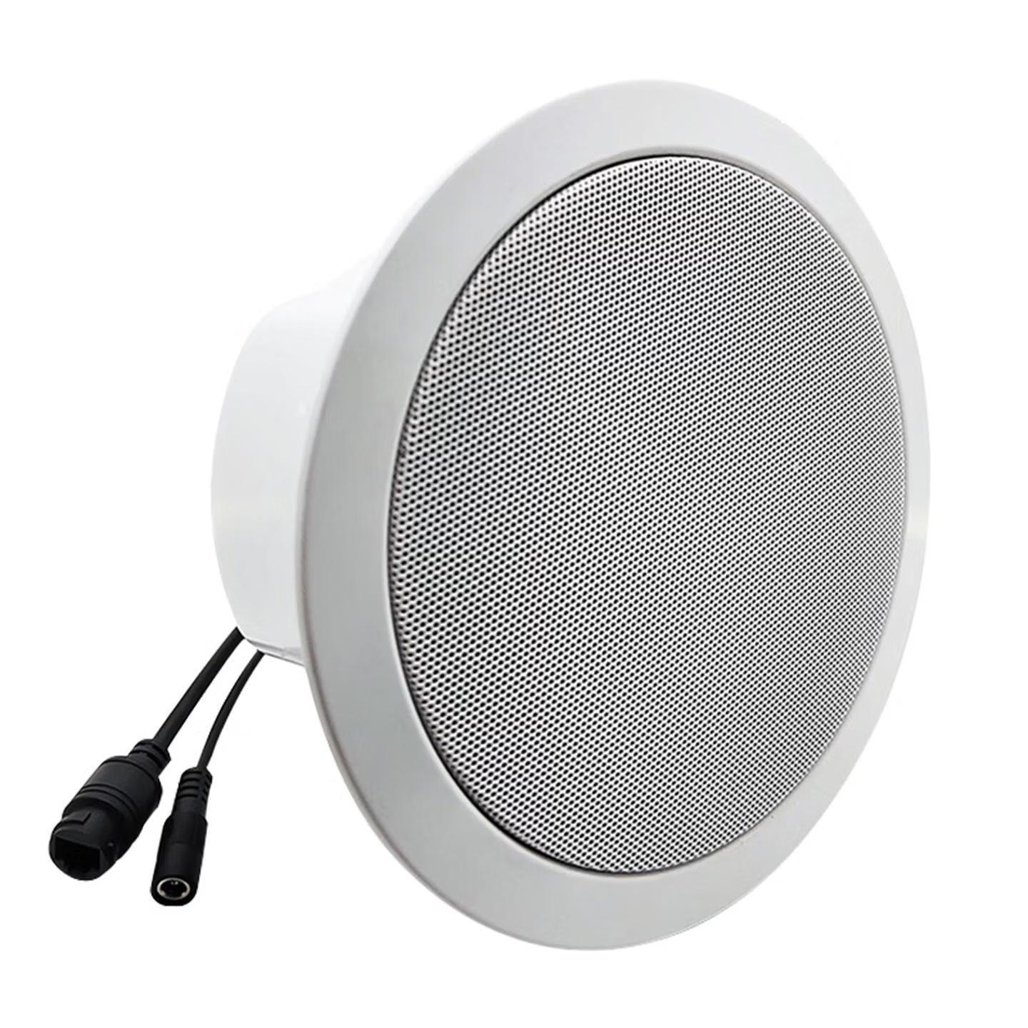 IP-YQ10  IP网络吸顶音响10W